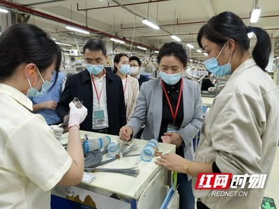 湘西高新区招商小分队赴长三角和珠三角开展密集考察招商咨询服务